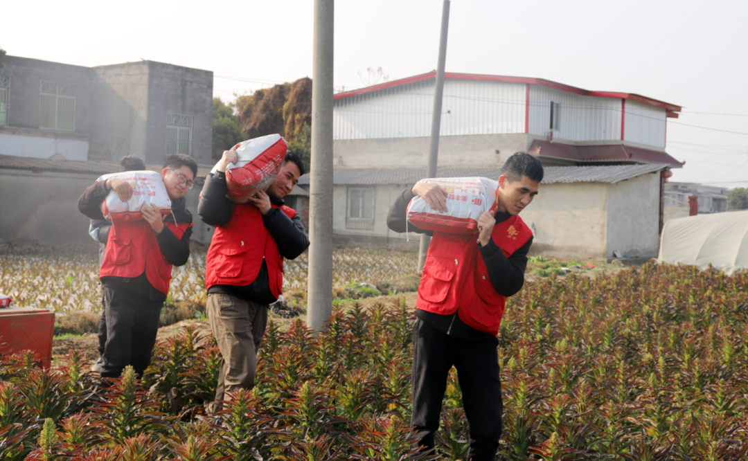 中國化肥網：每一粒美豐肥都是豐收的承諾