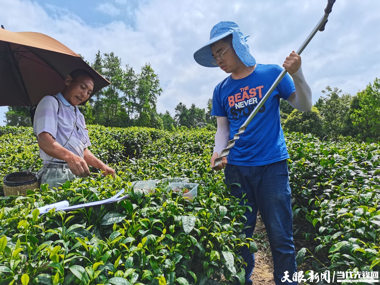 遵義日報：湄潭茶葉科技小院在鄉村振興的大舞臺上建功立業