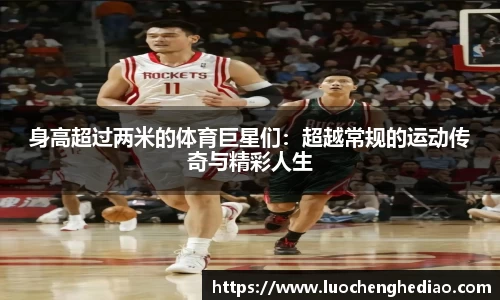 身高超过两米的体育巨星们：超越常规的运动传奇与精彩人生